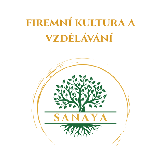 Firemní kultura a vzdělávání